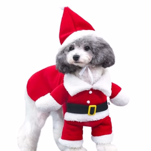 Santa Claus Dog Costume – Festive Christmas Dog Accessories for the Holidays